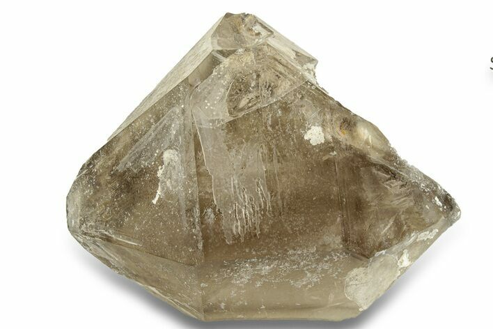 Double-Terminated, Lustrous Smoky Quartz Crystal - Brazil #256443